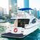 Al Shaali Marine AS 50 | Ali 8