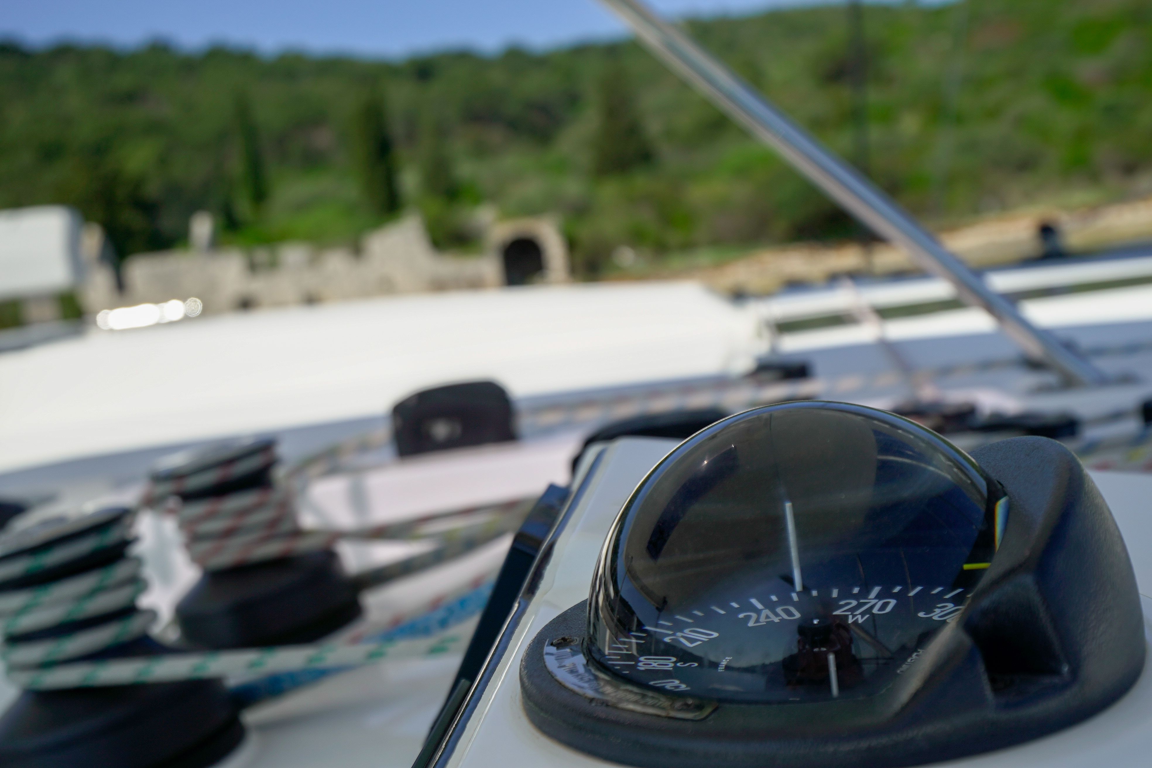 Leopard 45 | Manaphy