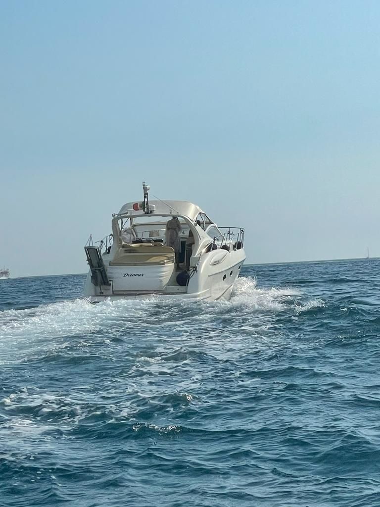 Gobbi 425 | The Dreamer