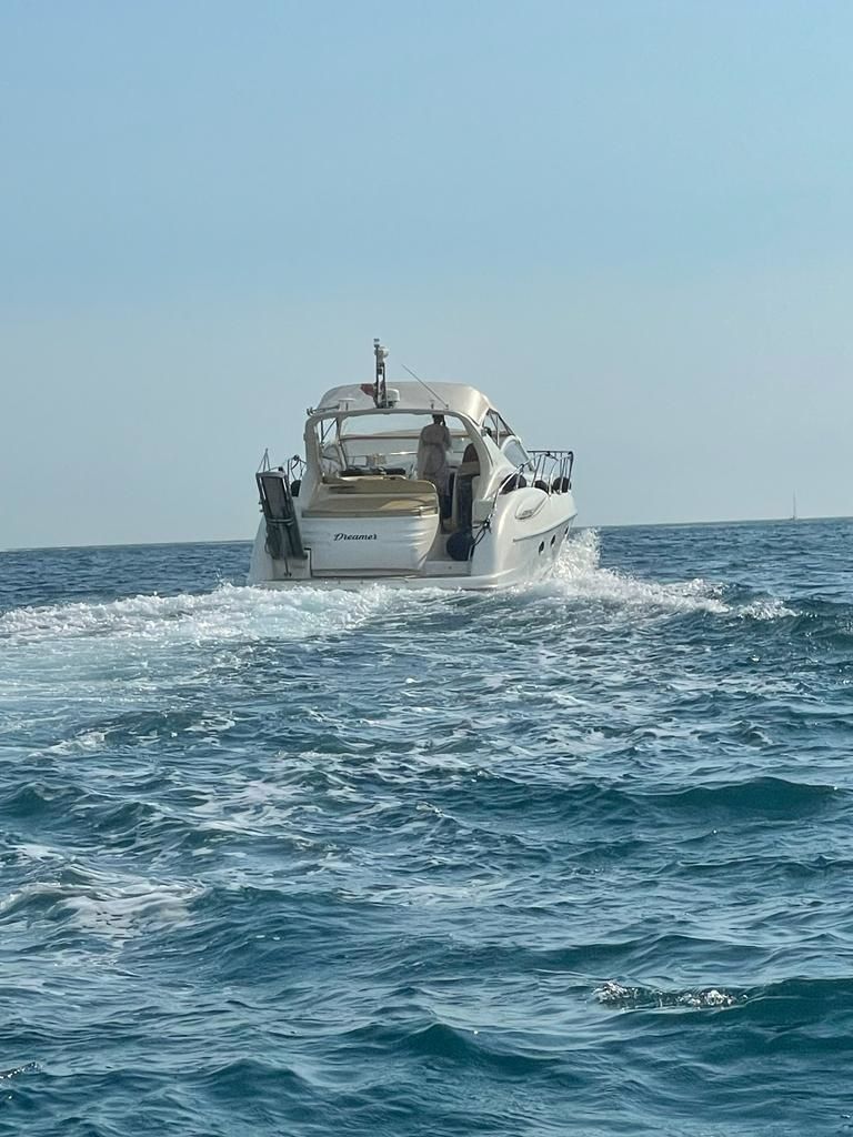 Gobbi 425 | The Dreamer