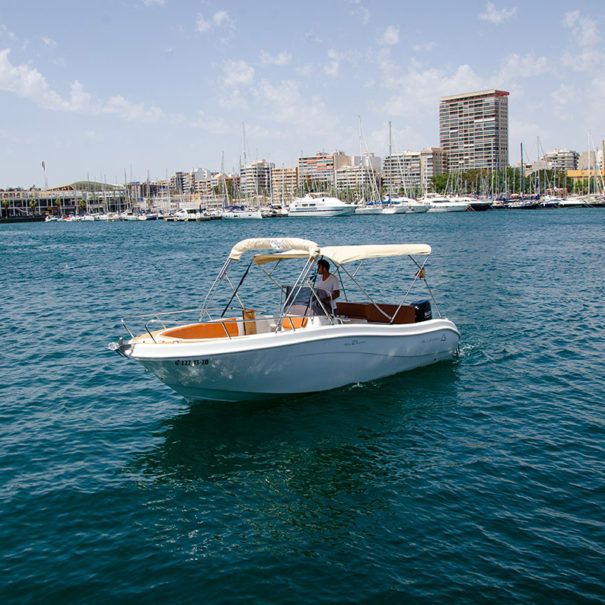 Allegra 21 | Alimed II