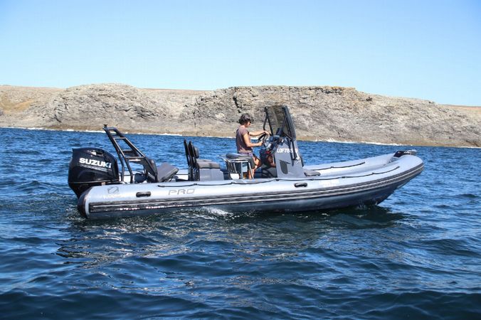 Zodiac Pro 7 | Bachata