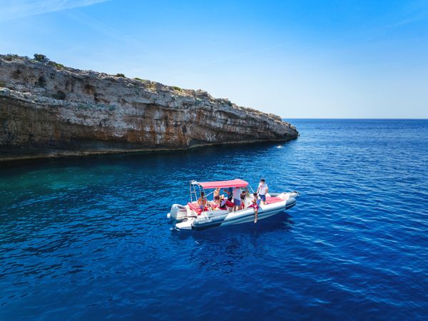 Marlin 790 Dynamic | 20