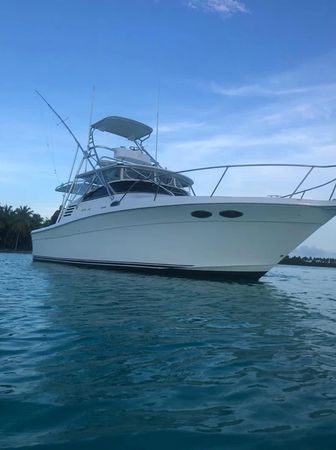 Sea Ray 35 Express | La Pichona