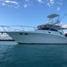 Sea Ray 35 Express | La Pichona
