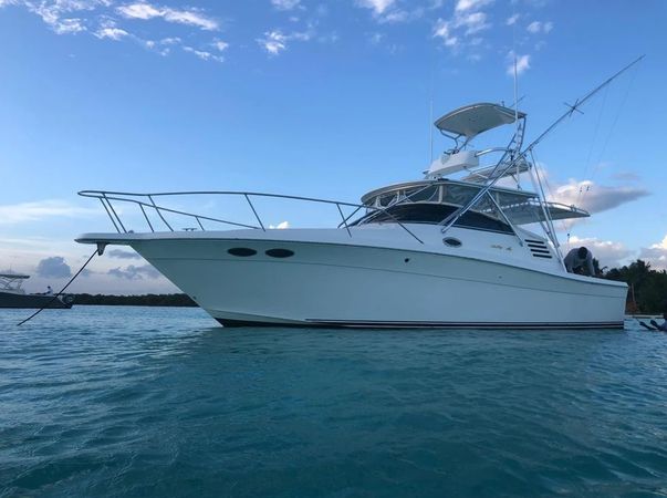 Sea Ray 35 Express | La Pichona
