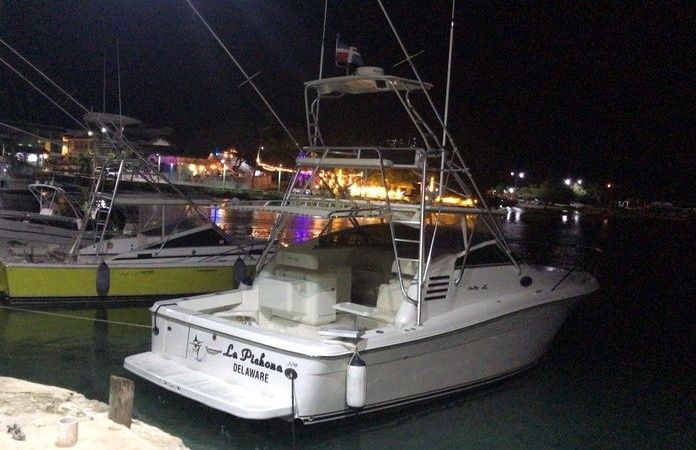 Sea Ray 35 Express | La Pichona