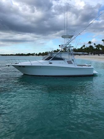Sea Ray 35 Express | La Pichona