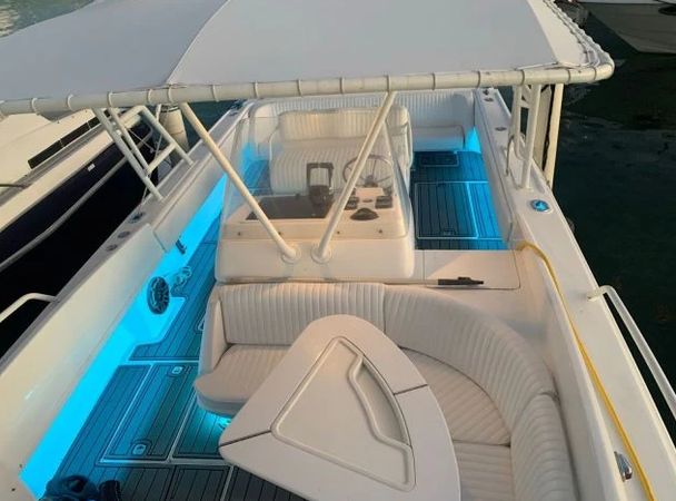 Intrepid 37 | Rapidita