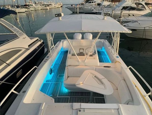Intrepid 37 | Rapidita