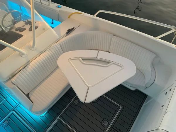 Intrepid 37 | Rapidita