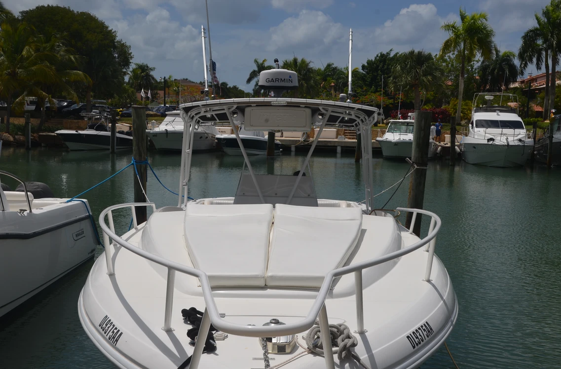 Intrepid 36 | Tin Tin