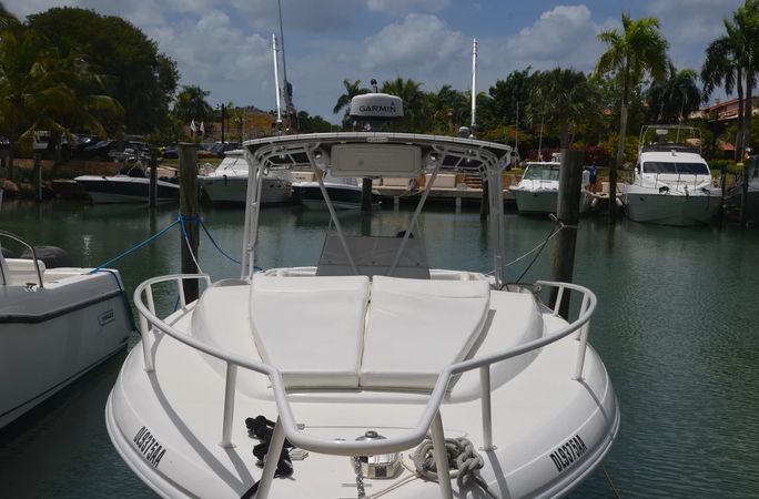 Intrepid 36 | Tin Tin