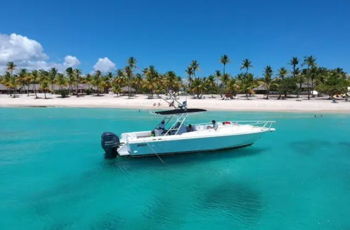 Intrepid 36 | Tin Tin