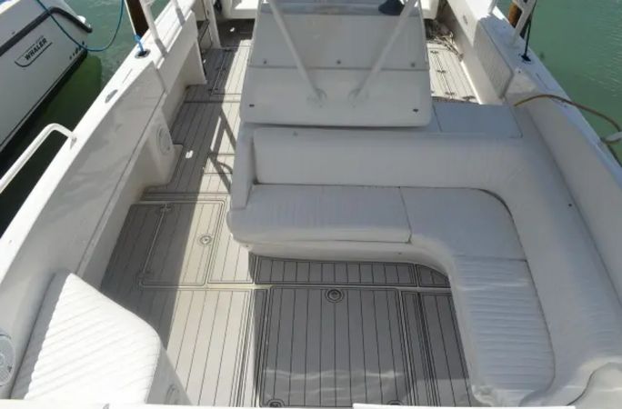 Intrepid 36 | Tin Tin