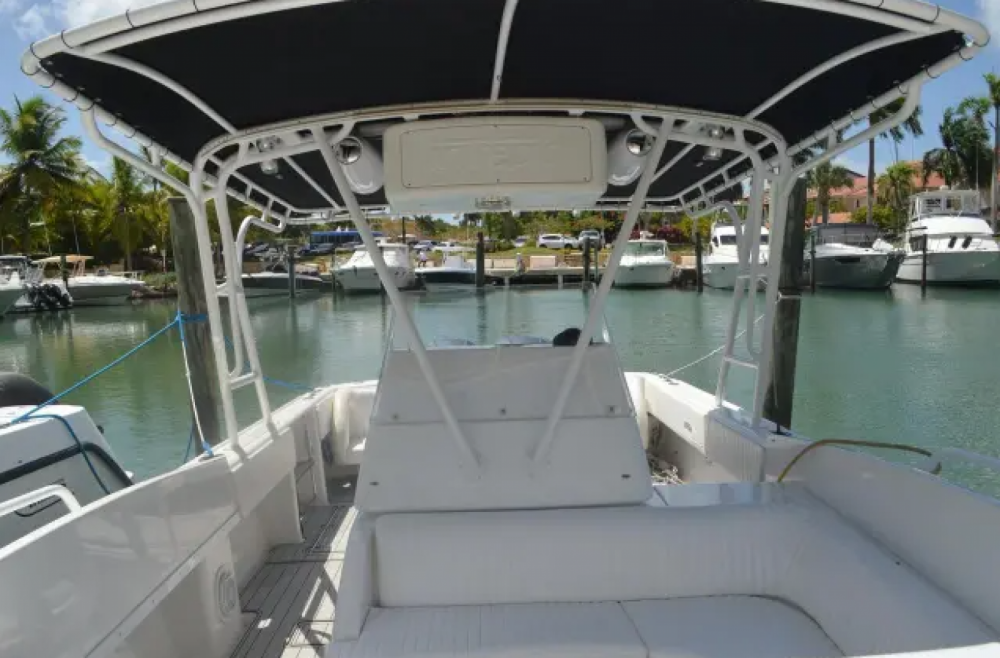 Intrepid 36 | Tin Tin