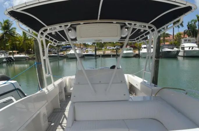 Intrepid 36 | Tin Tin