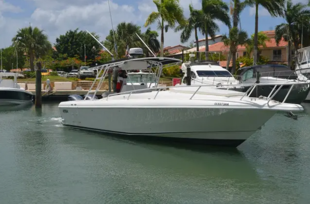 Intrepid 36 | Tin Tin