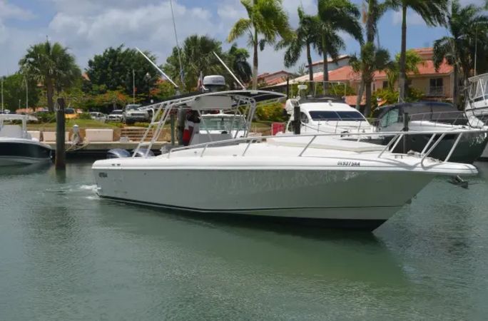 Intrepid 36 | Tin Tin