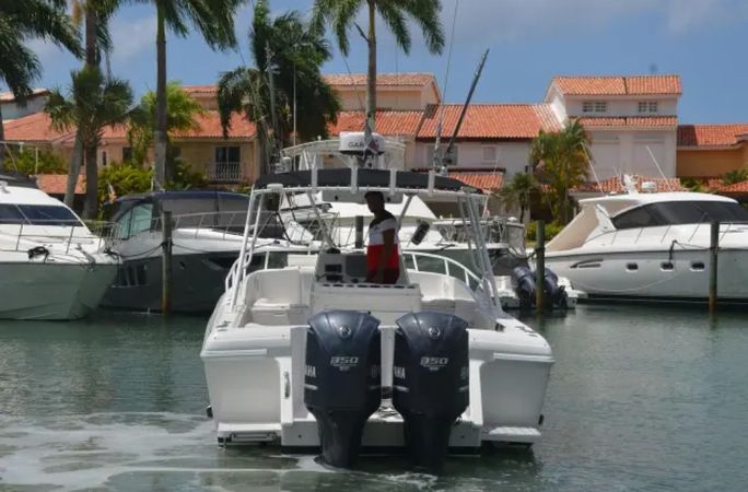 Intrepid 36 | Tin Tin