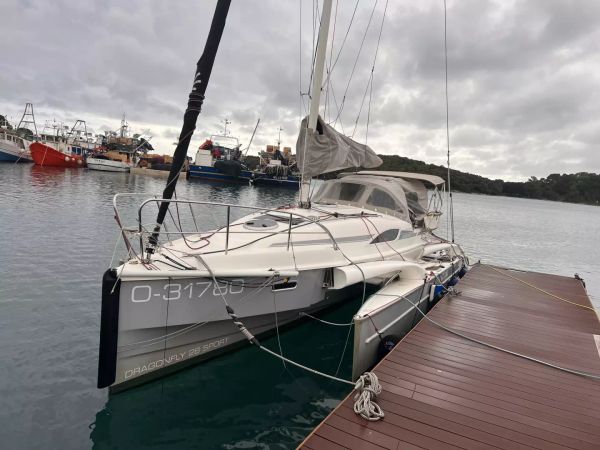 Dragonfly 28 | Kalmos
