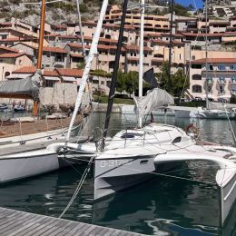 Dragonfly 28 | Kalmos