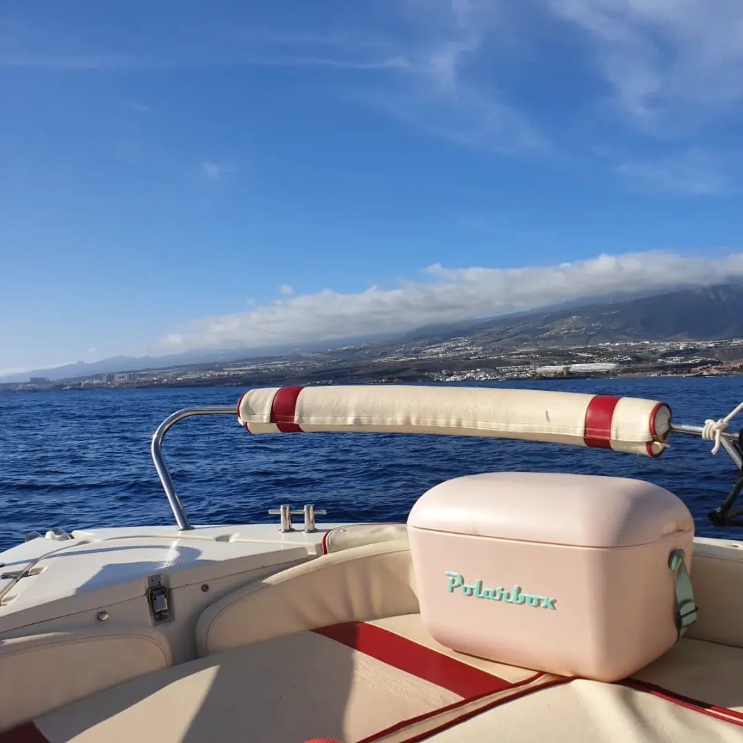 Team Boats 460 | Atlanca 3