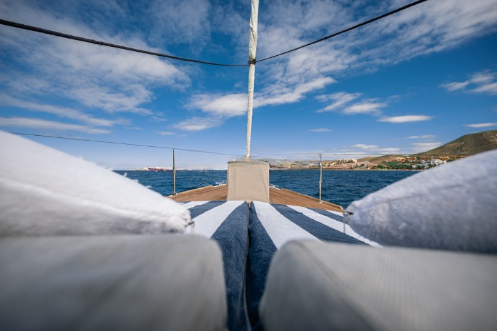Beneteau Sense 55 | Icon