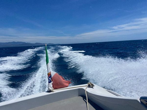 Italcraft 51 | W one