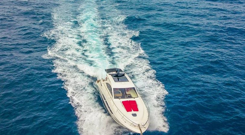 Sea Ray 53 | Blanco Perla