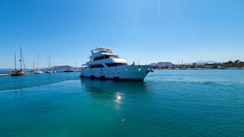 President 870 | Loretta