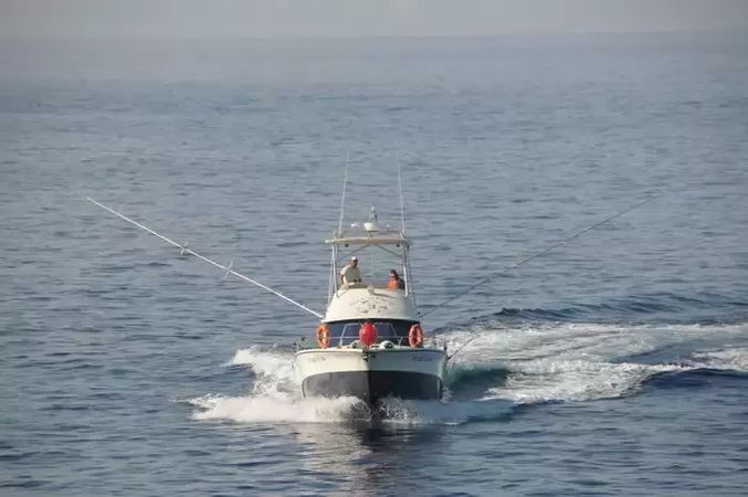 Rodman 1250 | Blue Marlin 3