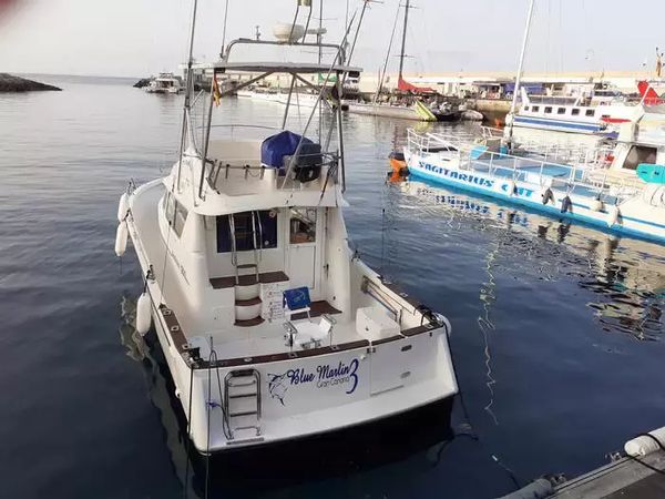 Rodman 1250 | Blue Marlin 3