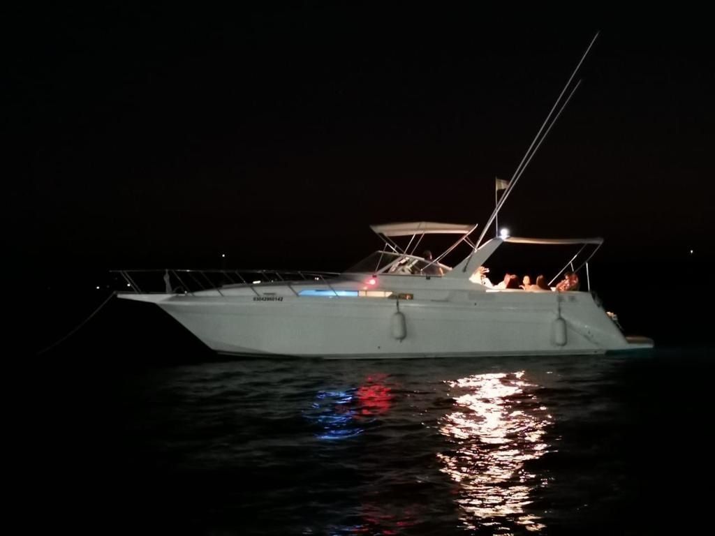 Custom Built 42 | Renata Regina