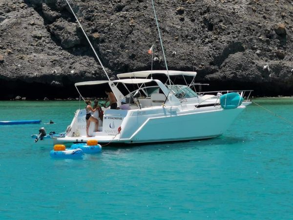 Custom Built 42 | Renata Regina