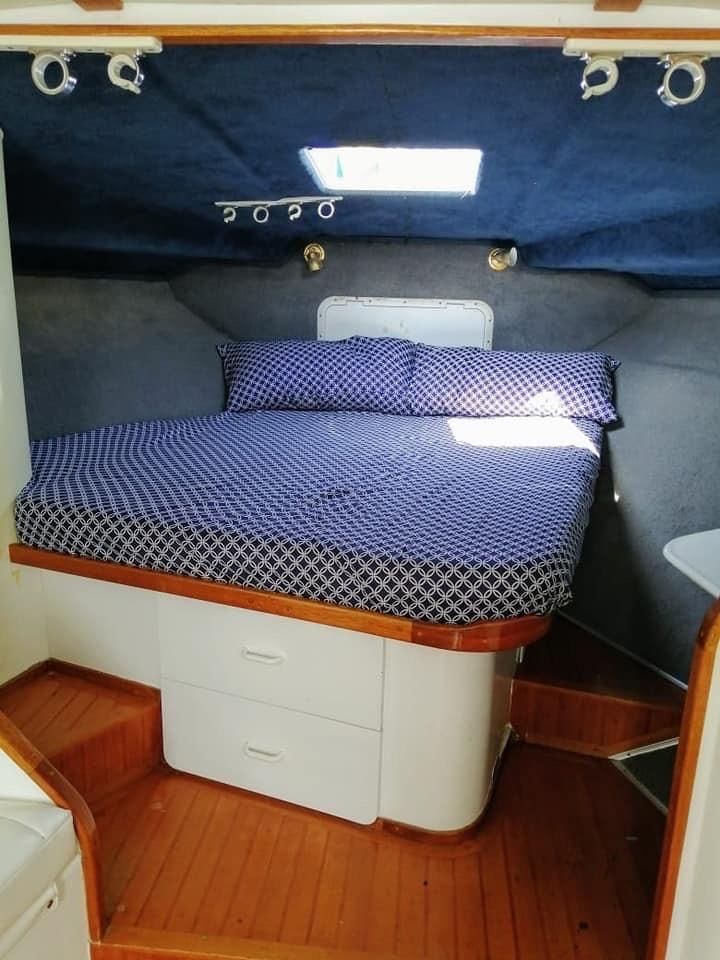 Custom Built 42 | Renata Regina