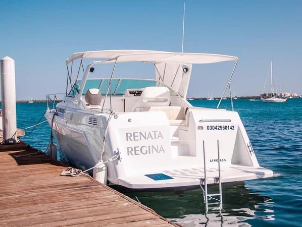 Custom Built 42 | Renata Regina