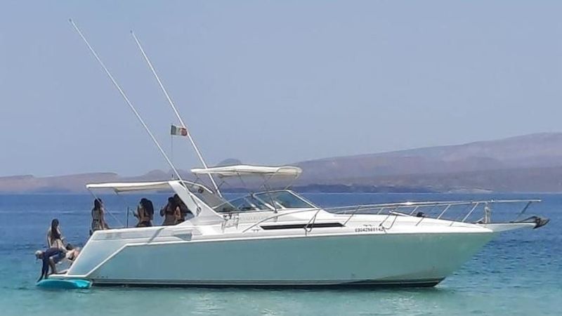 Custom Built 42 | Renata Regina