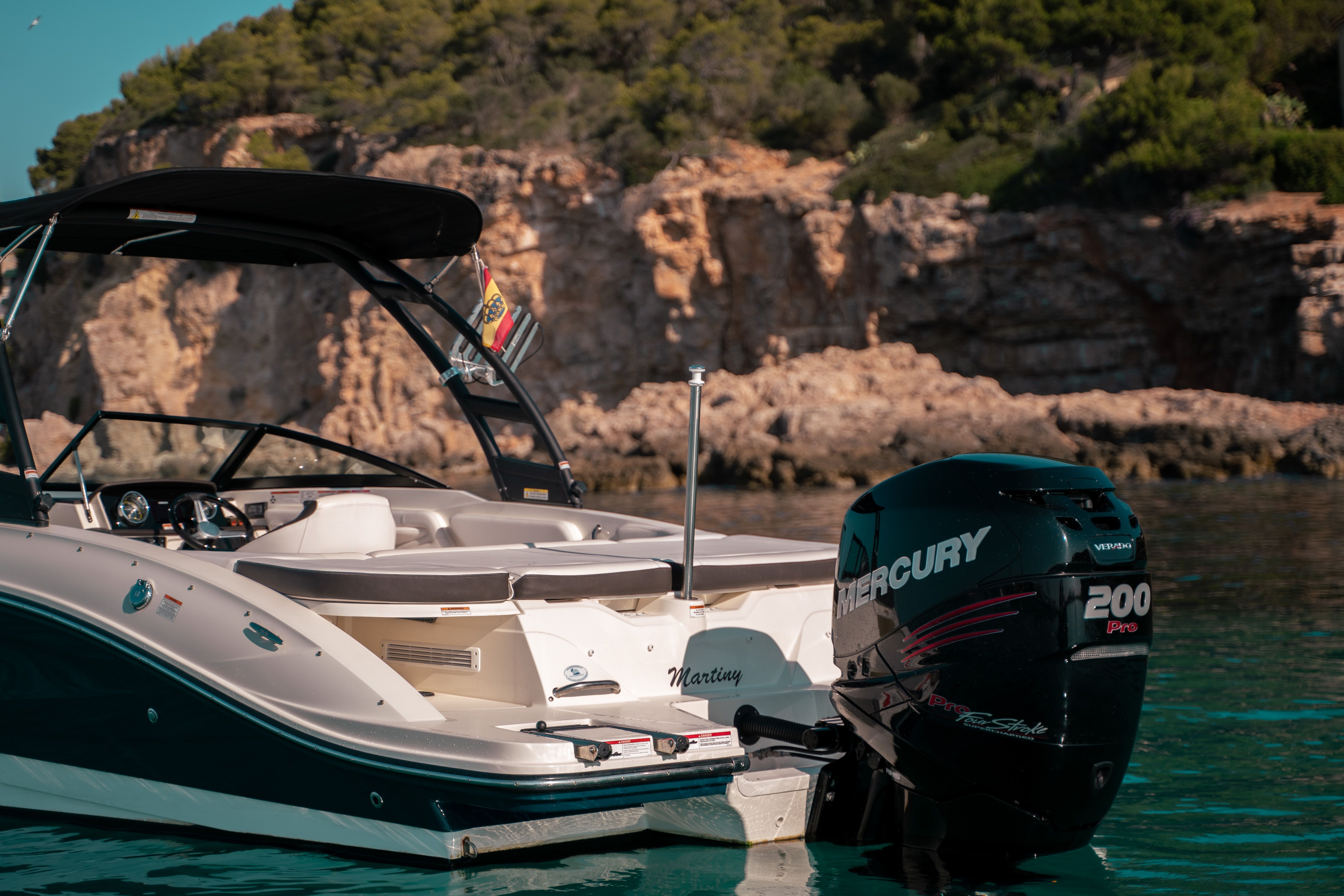 Sea Ray 210 | Heaven 2