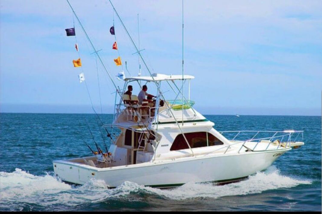 Bertram 42 | Bucaner