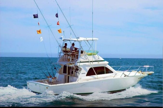 Bertram 42 | Bucaner