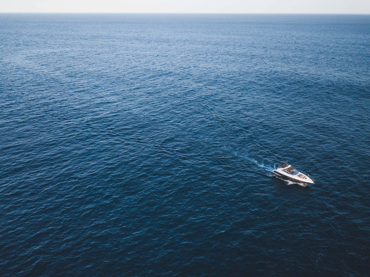 Absolute 41 | Sugar Lips