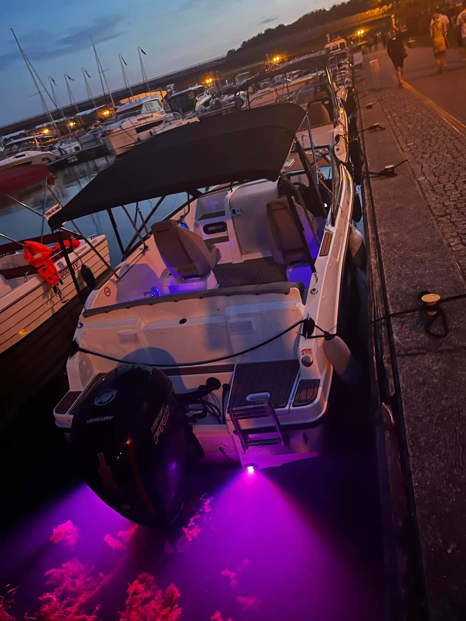 Quicksilver Active 605 Cruiser | Twoja Moja