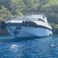 Mangusta 108 | Silence