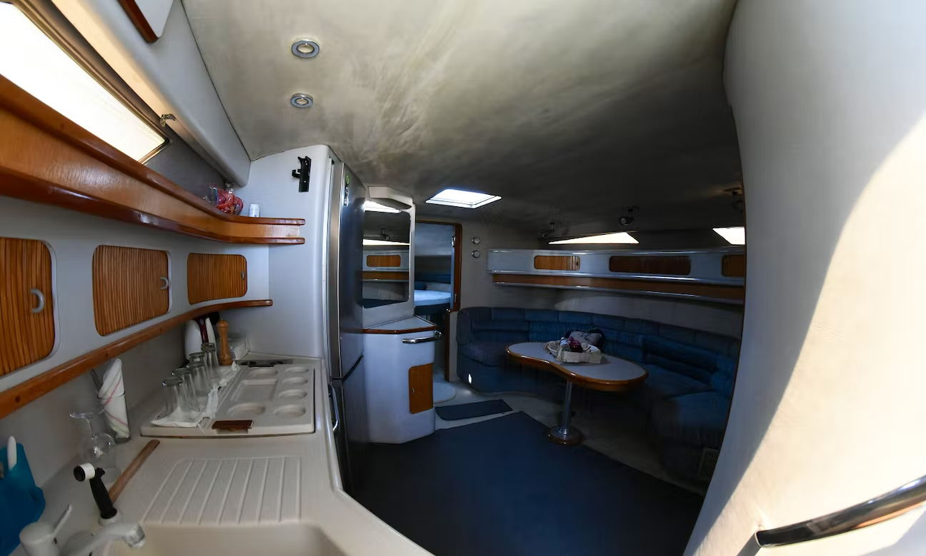 Sea Ray 455 Sundancer | Octapus