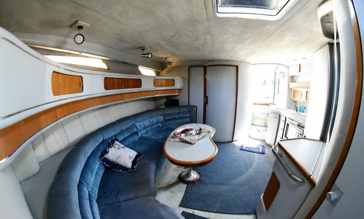 Sea Ray 455 Sundancer | Octapus