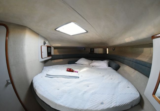Sea Ray 455 Sundancer | Octapus