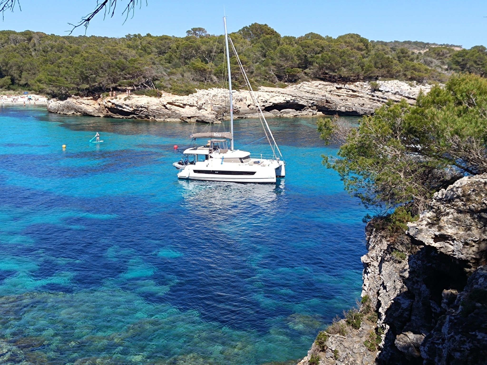 Bali Catspace | Jojo