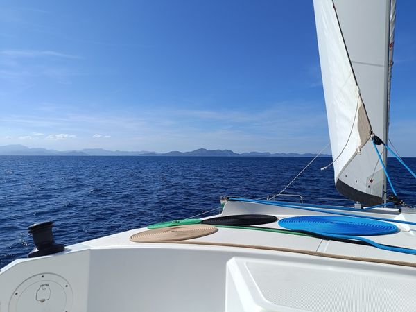 Bali Catspace | Jojo