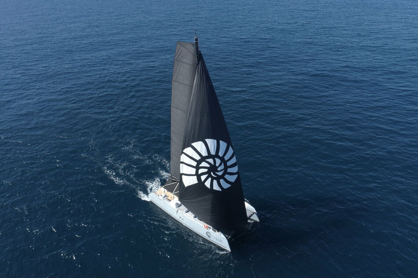 Drassanes Dalmau 59 | Oasis 2